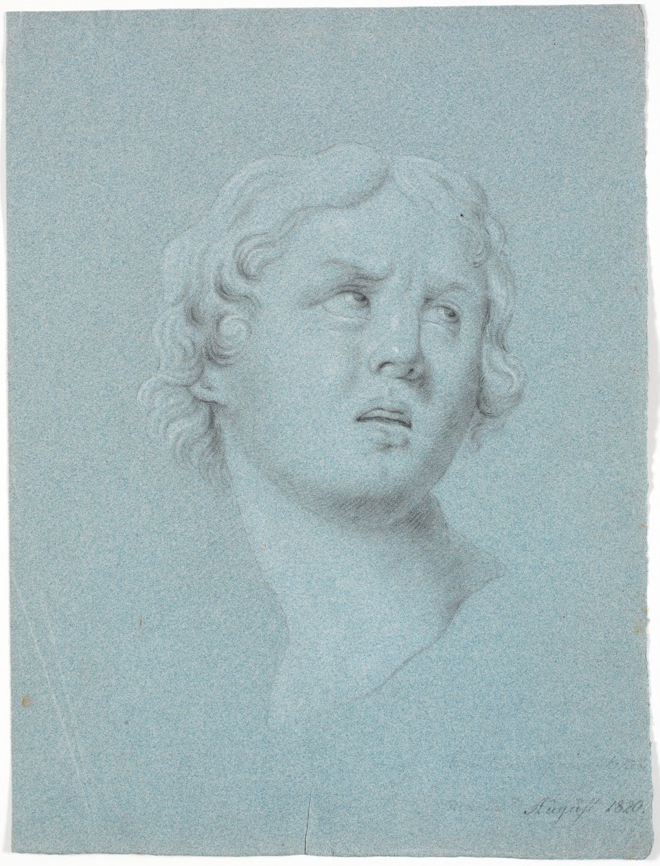 Study of a Woman