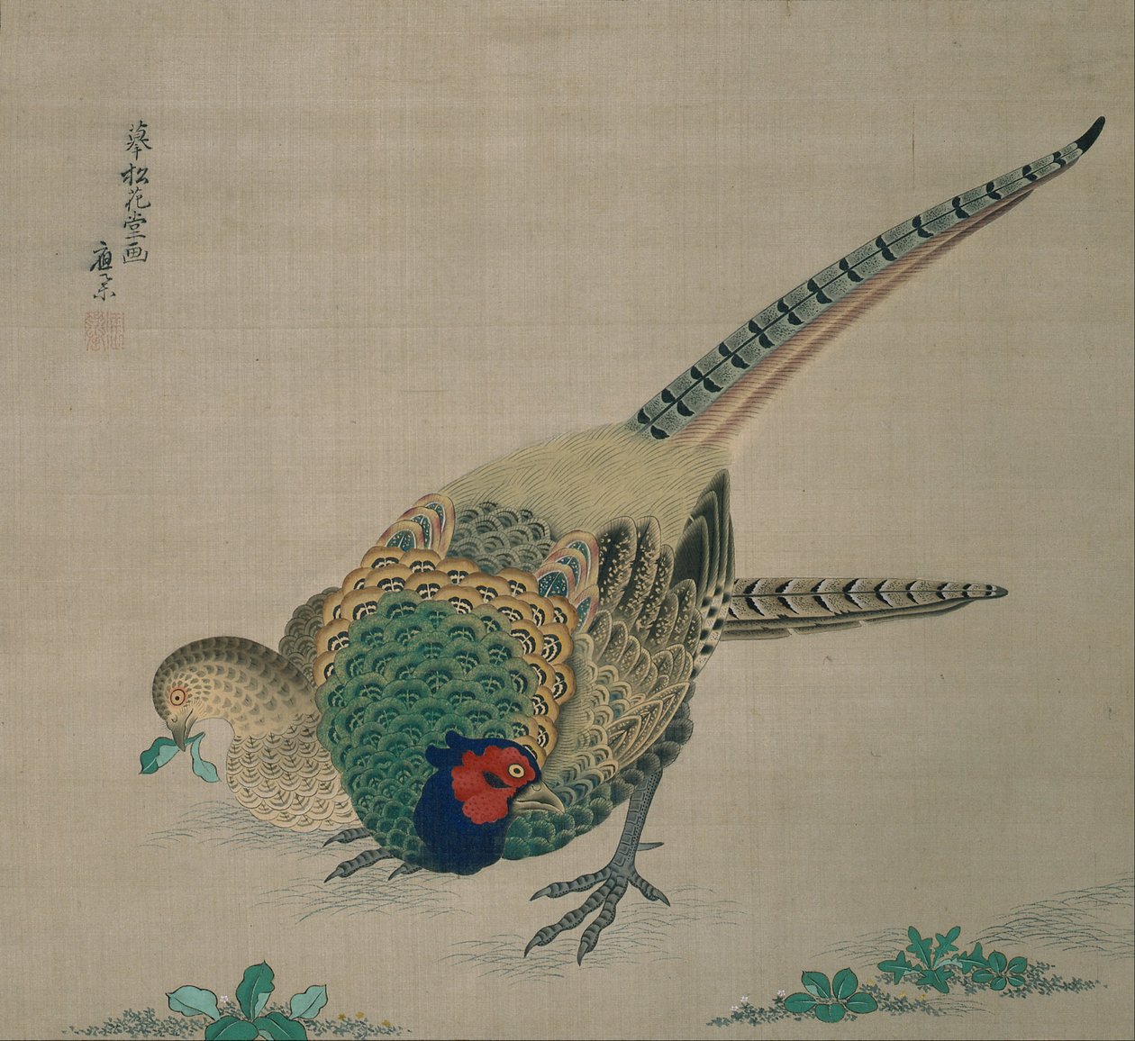 Hanging Scroll (pair of pheasants) by Maruyama Okyo