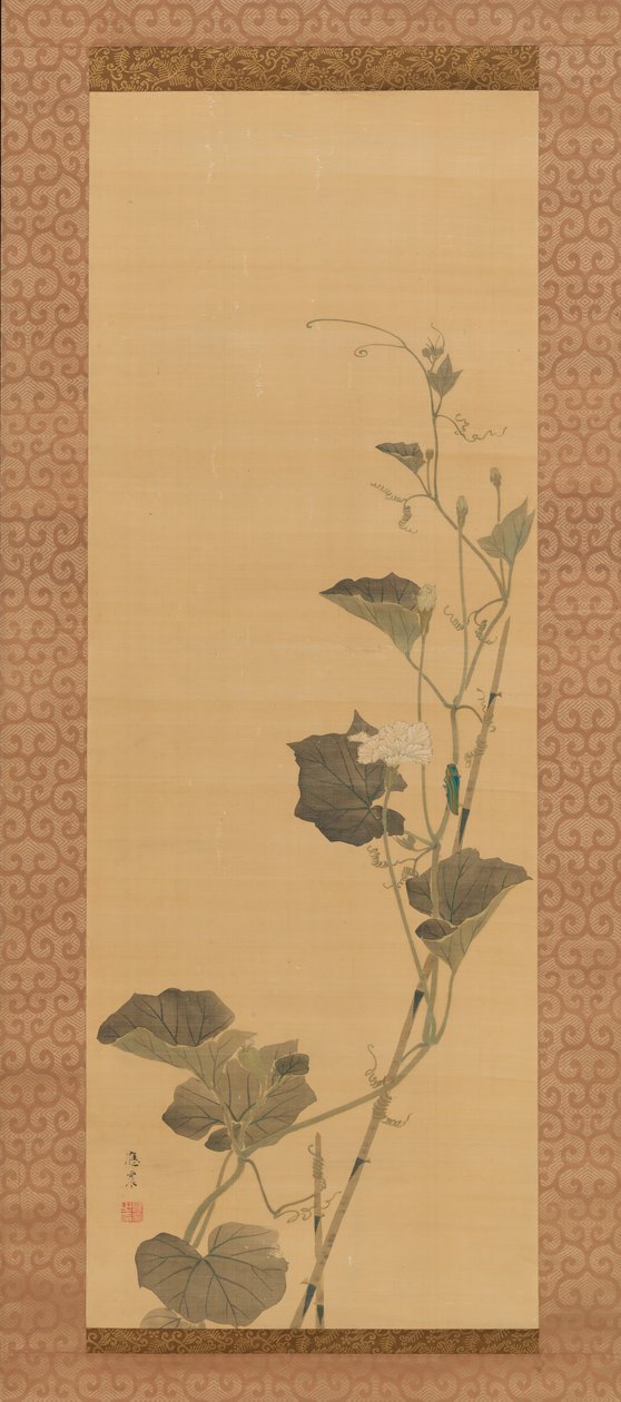 Calabash Flowers and Beetle by Maruyama Ôshin