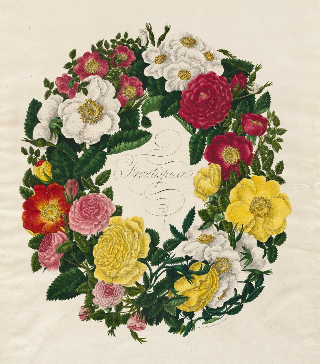 A Wreath of Roses by Mary Lawrence