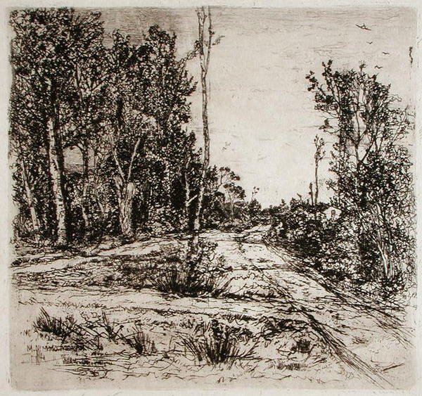 Diverging Paths by Mary Nimmo Moran