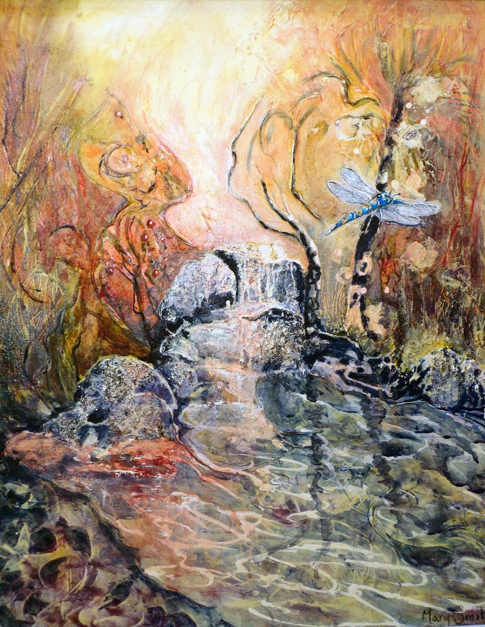 Dragonfly Approaching by Mary Smith