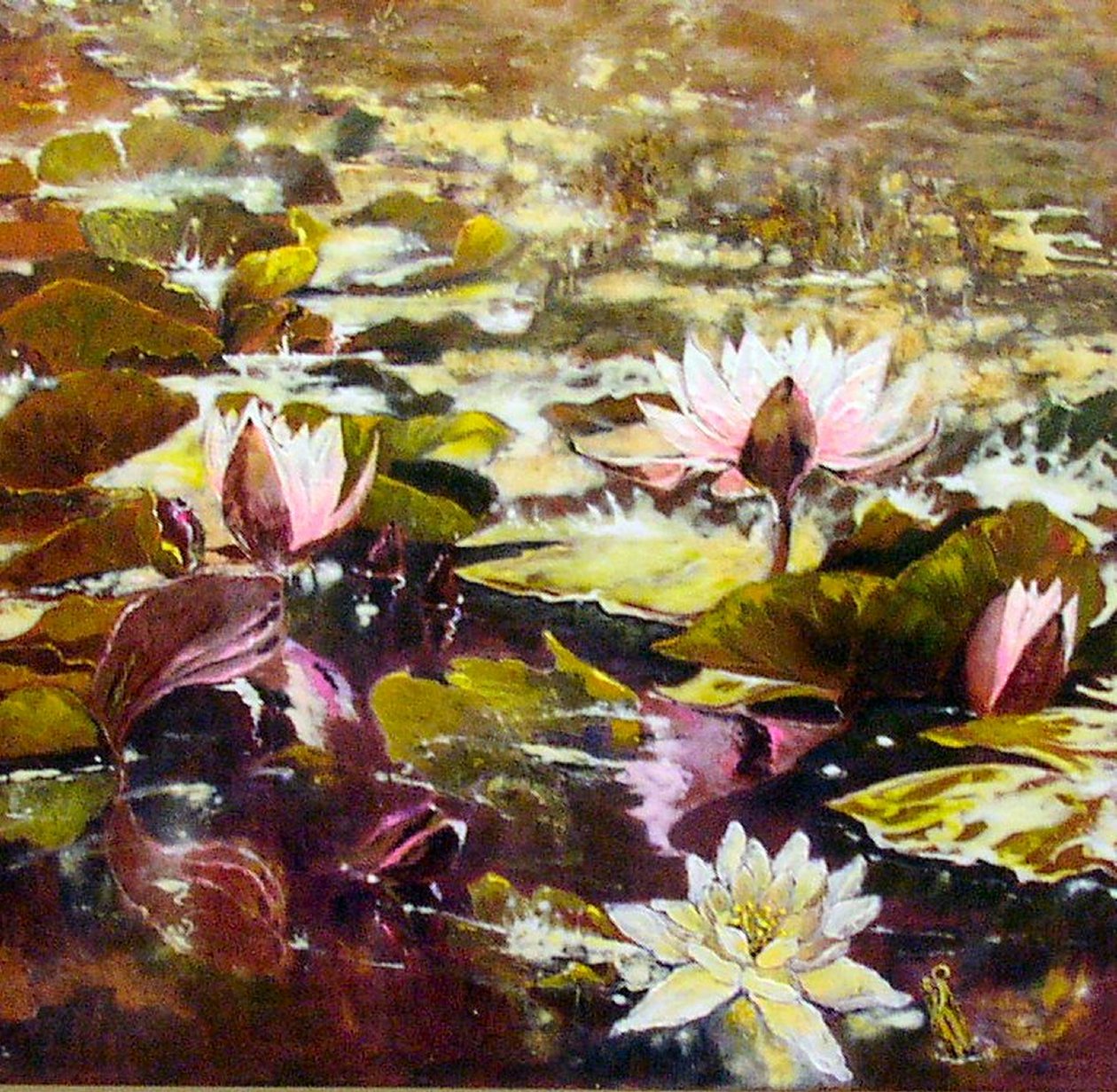 Lilies in Melbourne Gardens by Mary Smith