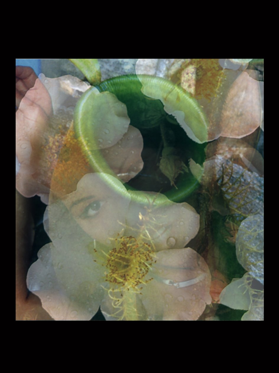 Flesheaters 2 by Mat Collishaw