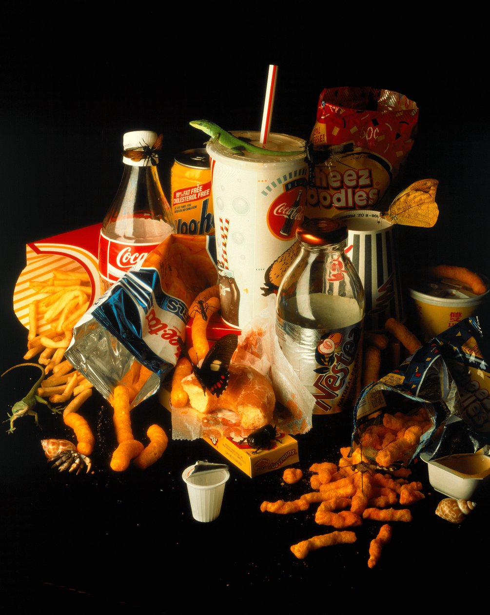 Natura Morte 1 by Mat Collishaw