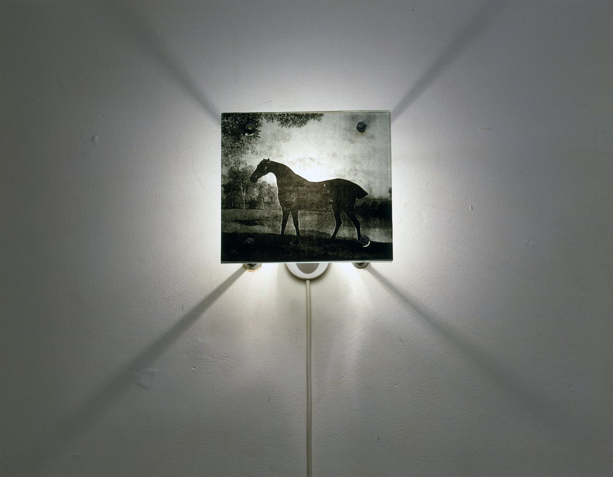 Stubbs Horses by Mat Collishaw