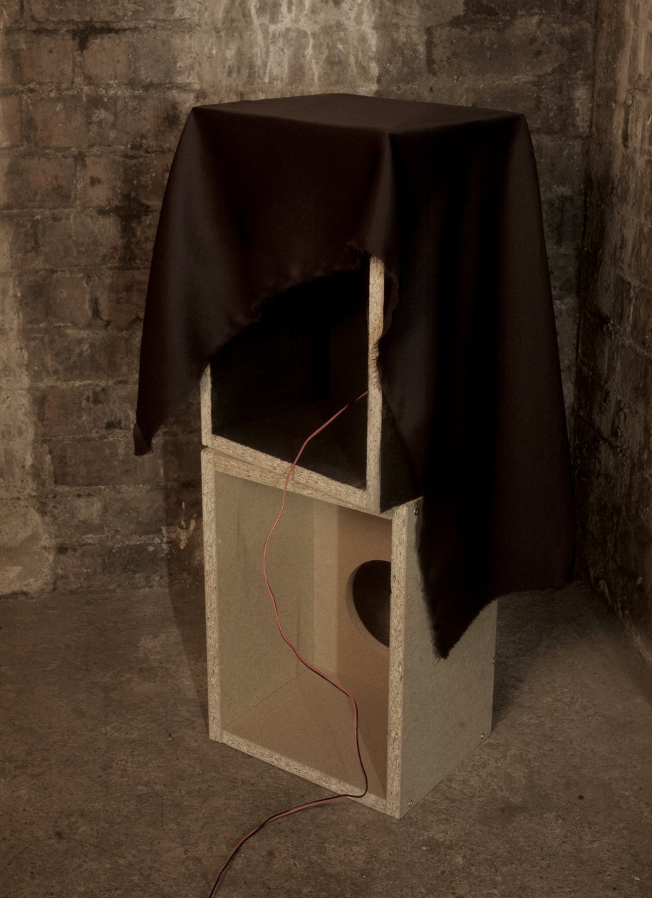 Widow by Mat Collishaw
