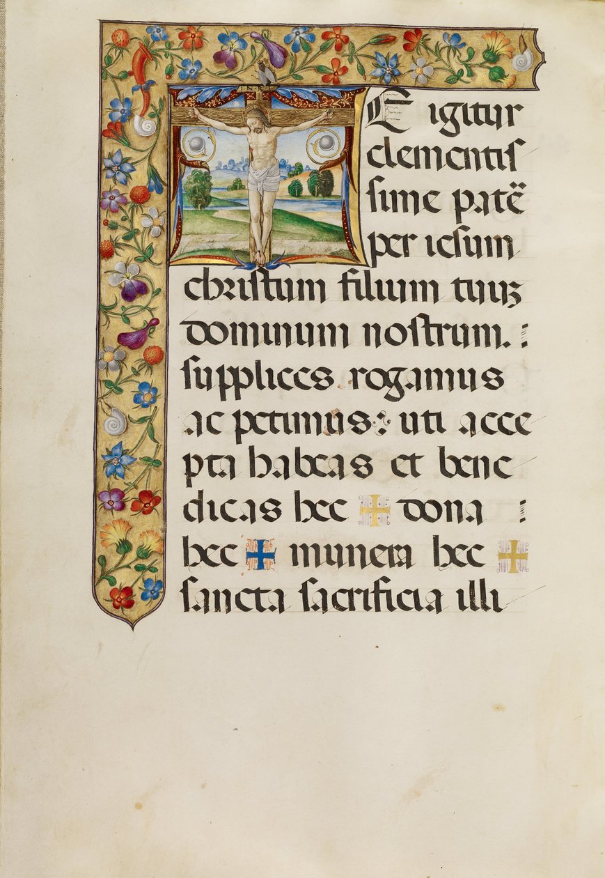 The Crucifixion by Matteo da Milano