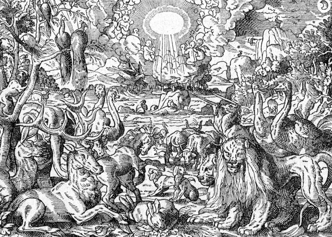 Paradise by Matthaus the Elder Merian