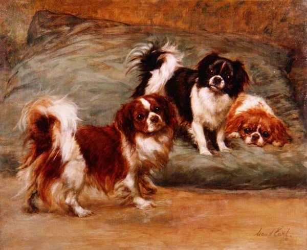 Three King Charles Spaniels on a Cushion by Maud Earl