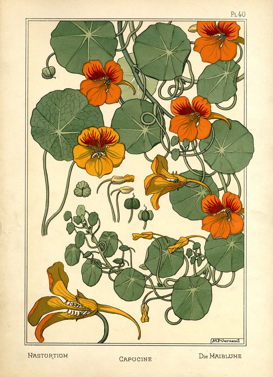 The Nasturtium by Maurice Pillard Verneuil