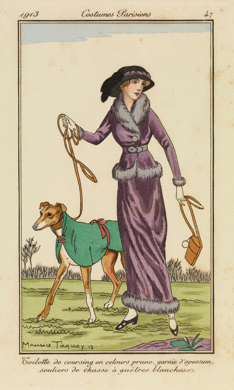 Plate 47 from 