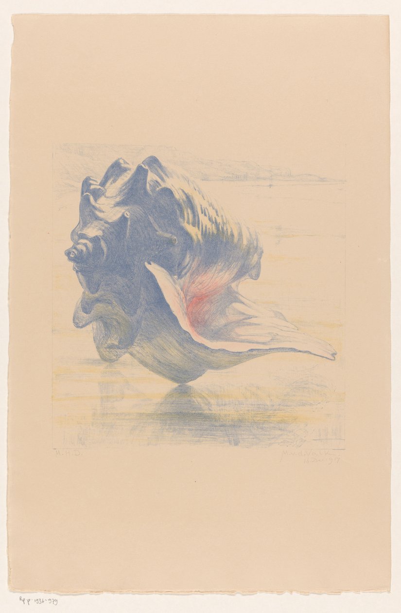 Shell by Maurits van der Valk (signed by artist)