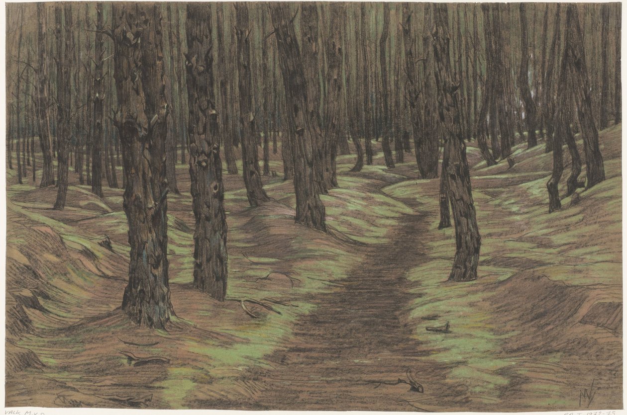 Pine Forest by Maurits van der Valk