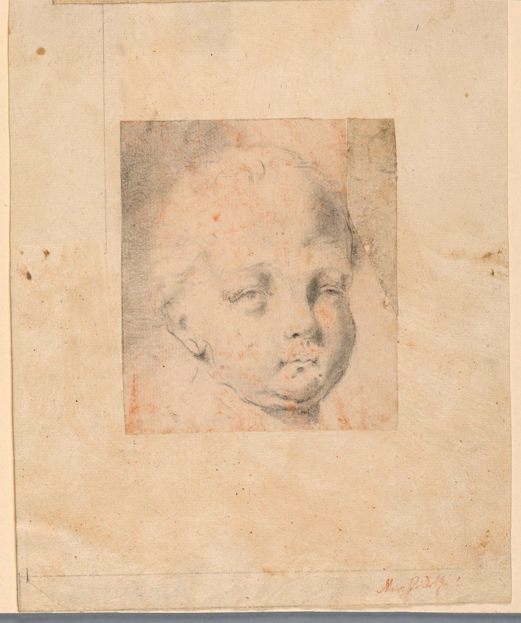 Study: Head of a Boy, 1810–34 by Mauro Gandolfi