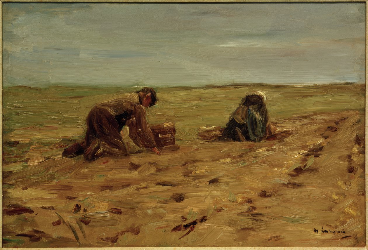 Potato Harvest in the Dunes by Max Liebermann