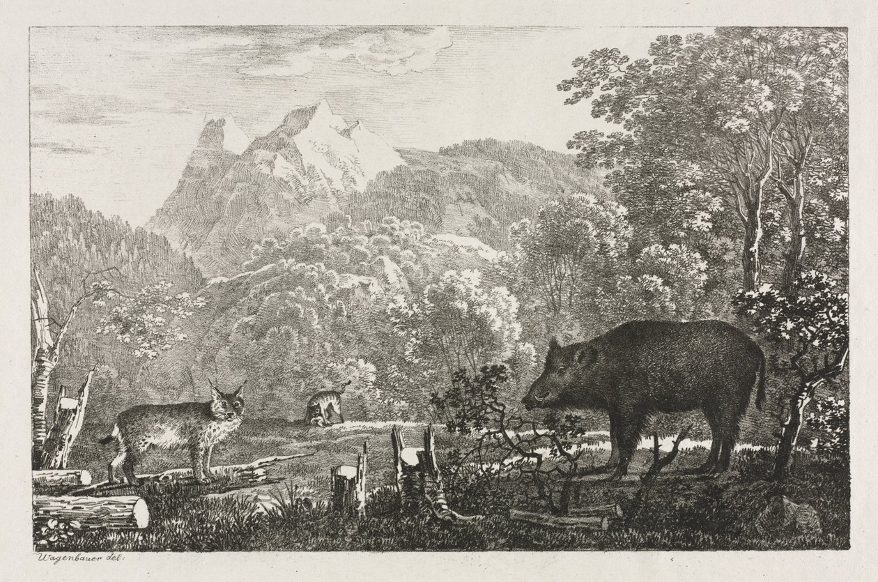 Wild Boar, Wildcat and Lynx by Maximilian Josef Wagenbauer