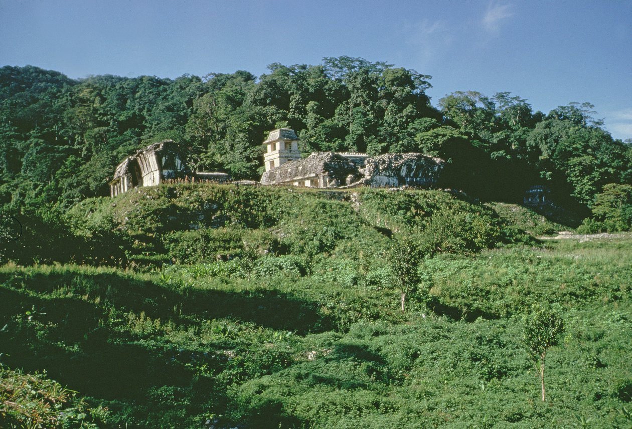 Palace and Observatory on Mound, Maya, Late Classic Period by Mayan
