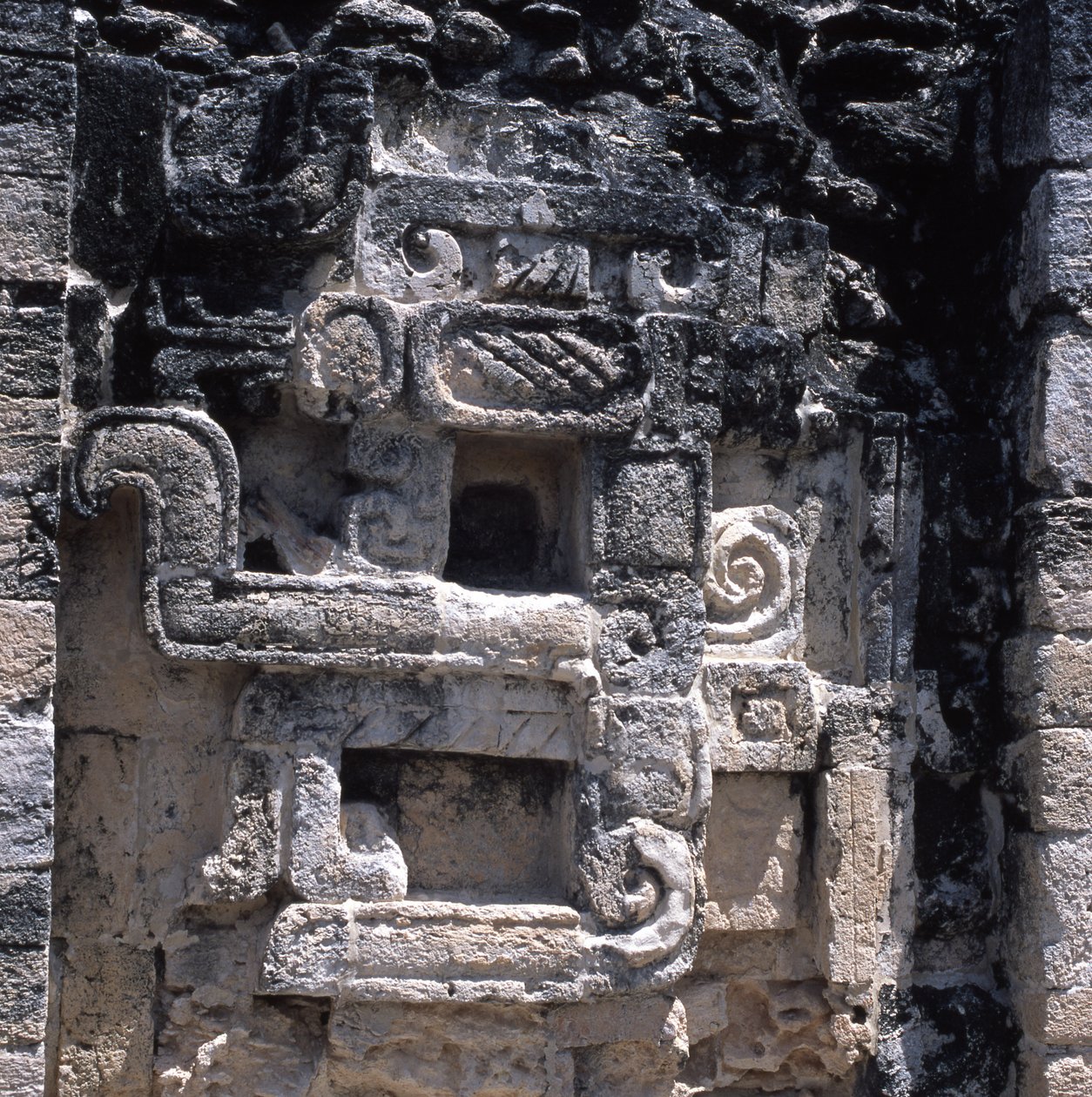 Relief of a monster of the earth, Late Classic period, 600-900 AD by Mayan