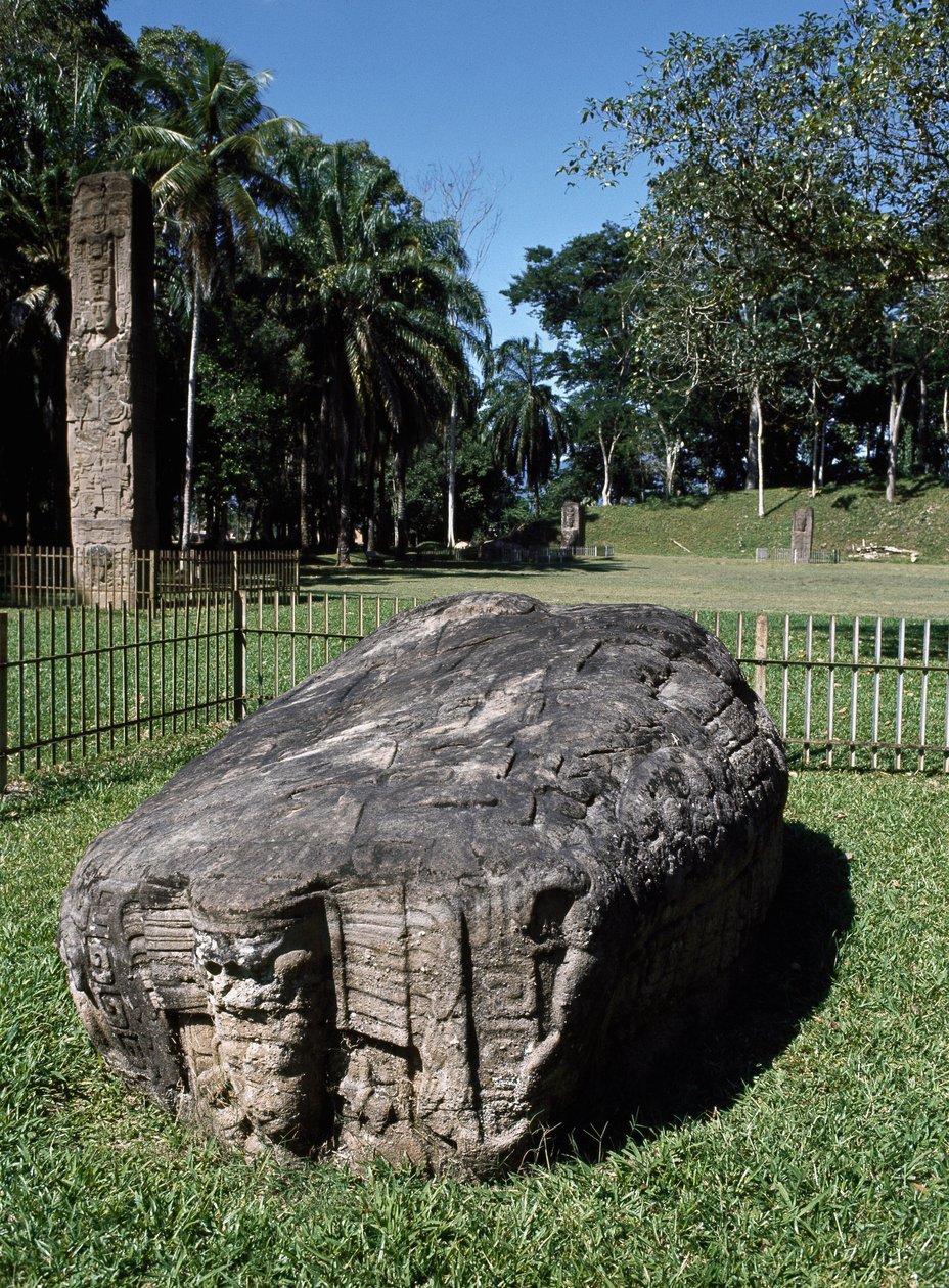 Zoomorphic Altar G and Stone E by Mayan