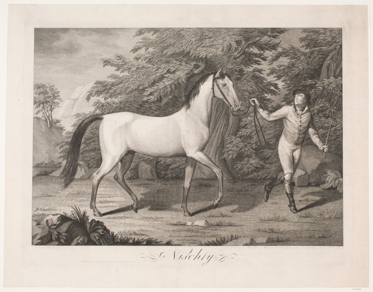 The Horse 