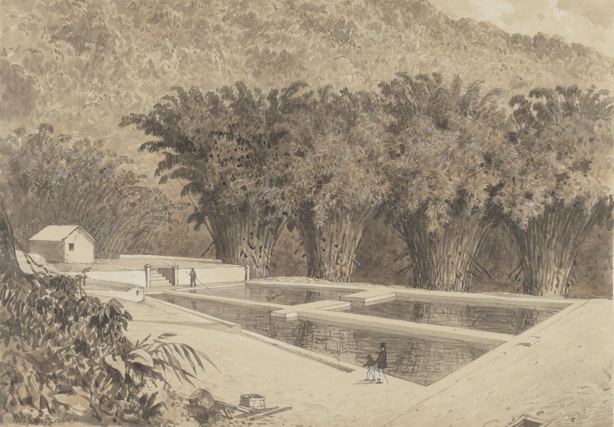 The Reservoir at Maraval by Michel Jean Cazabon