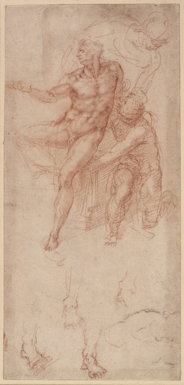 Figure Studies by Michelangelo Buonarroti