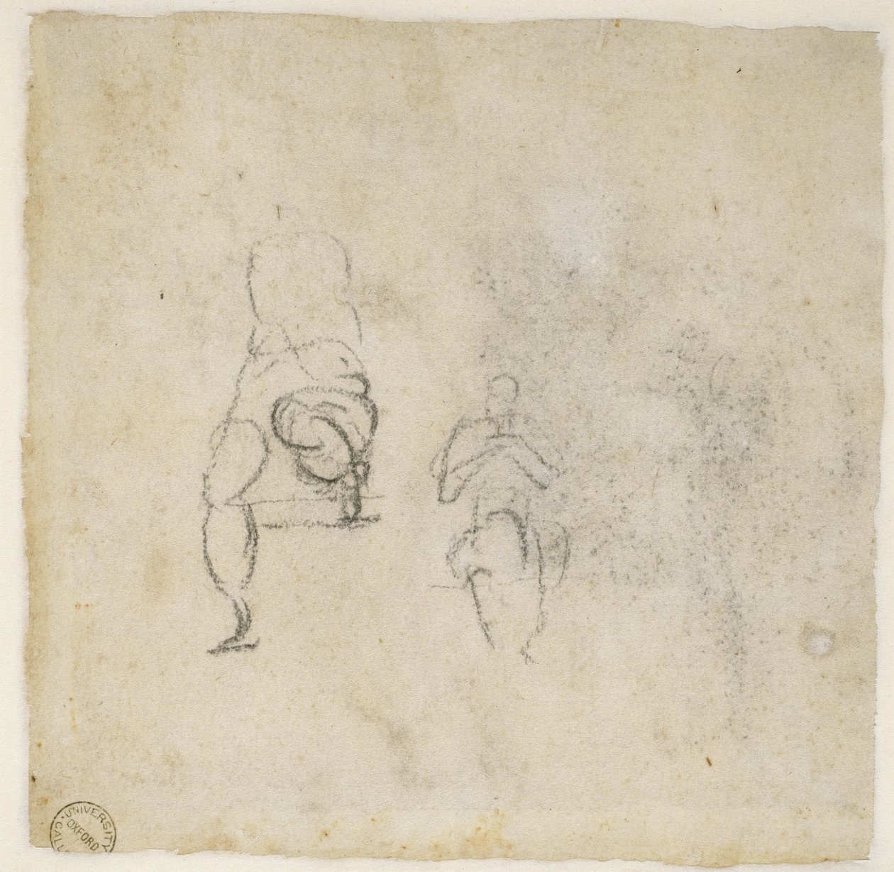 Figure Studies, c.1511 by Michelangelo Buonarroti