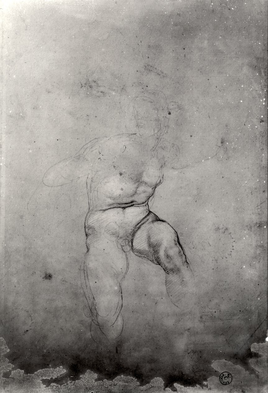 Male Nude by Michelangelo Buonarroti