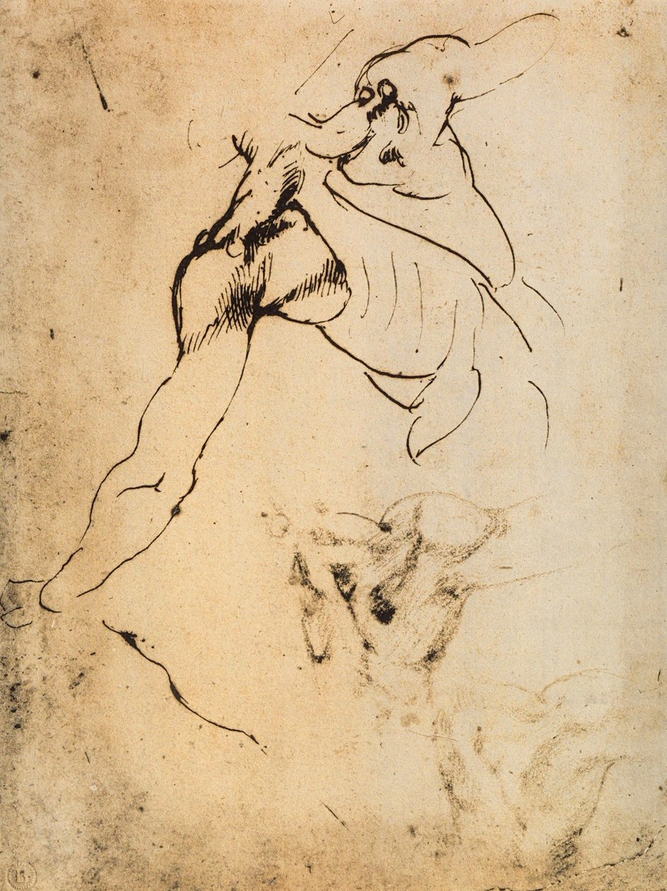 Male Anatomical Study by Michelangelo Buonarroti