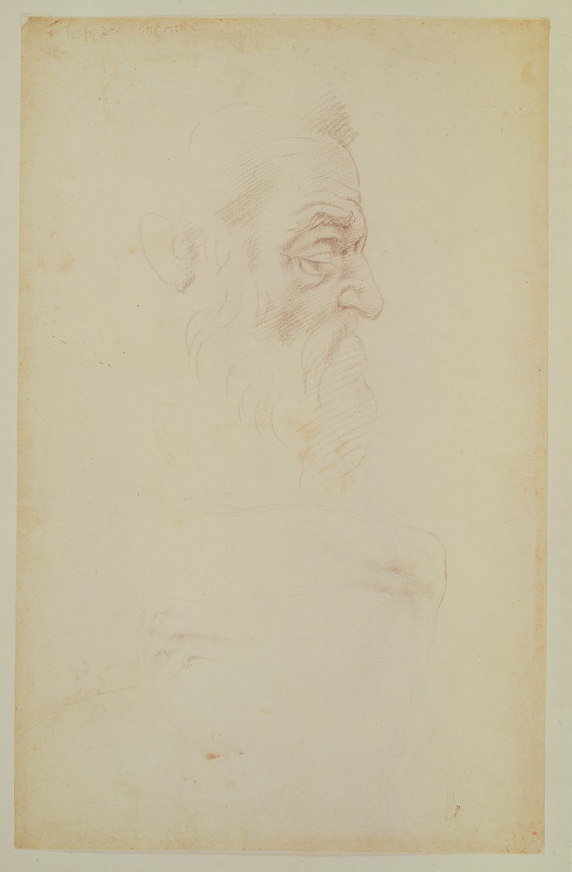 Sketch of a male head and two legs by Michelangelo Buonarroti