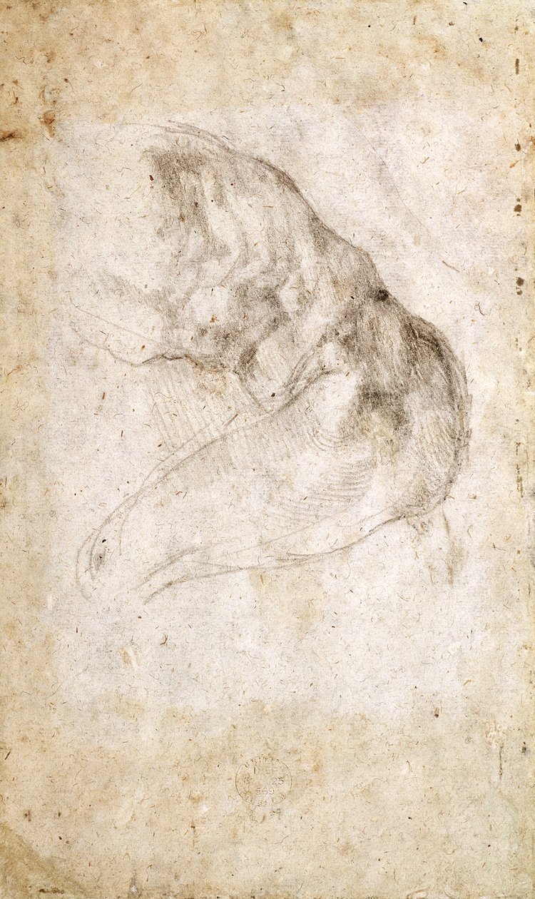 Study for The Creation of Adam (verso) by Michelangelo Buonarroti
