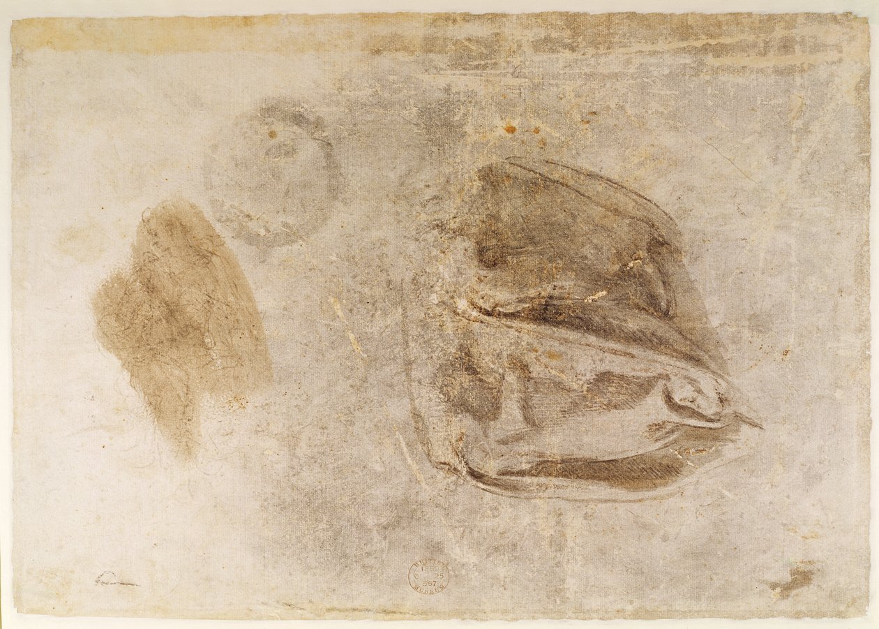 Study for the robes of the Erythraean Sibyl by Michelangelo Buonarroti