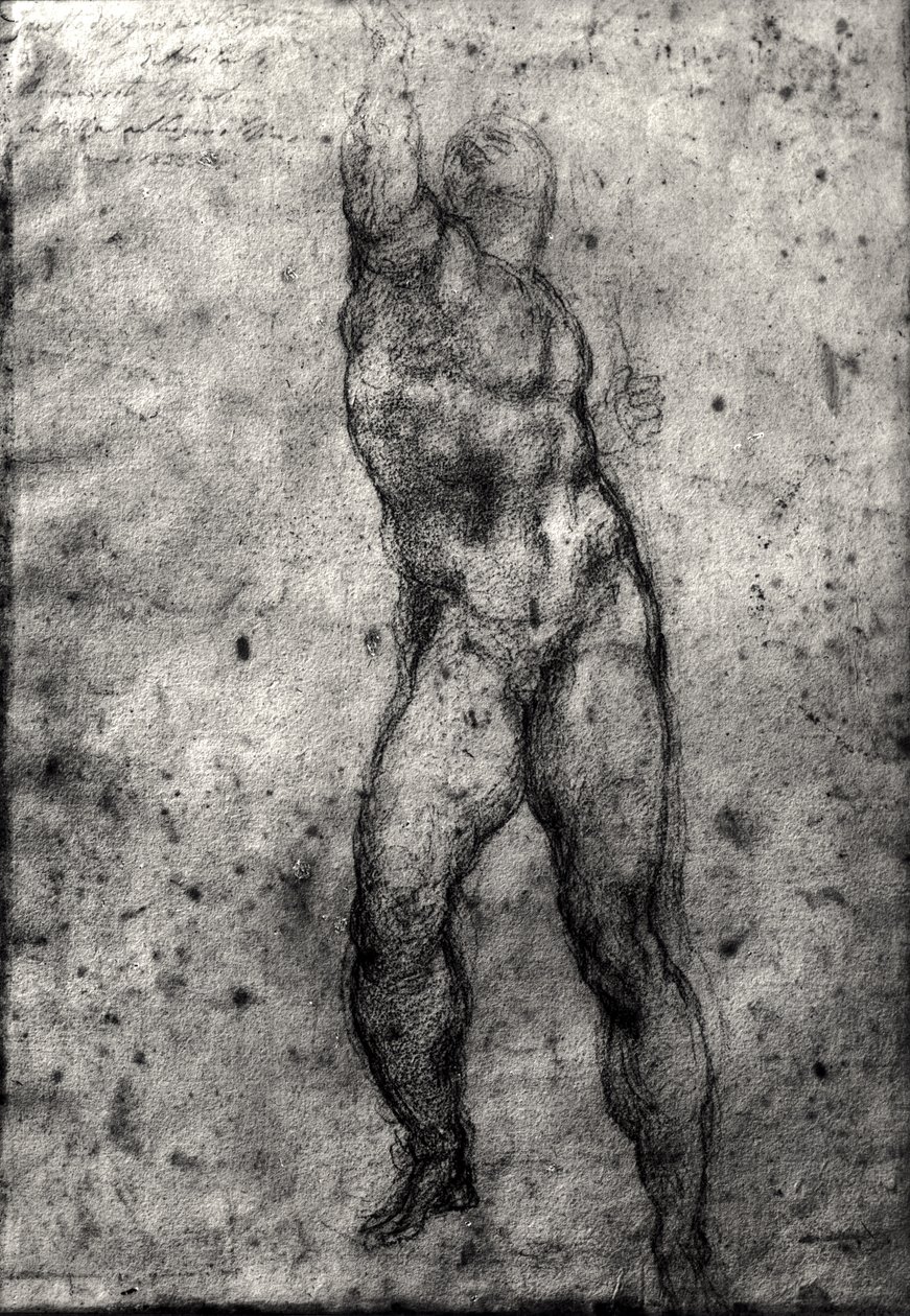 Study of a male nude by Michelangelo Buonarroti