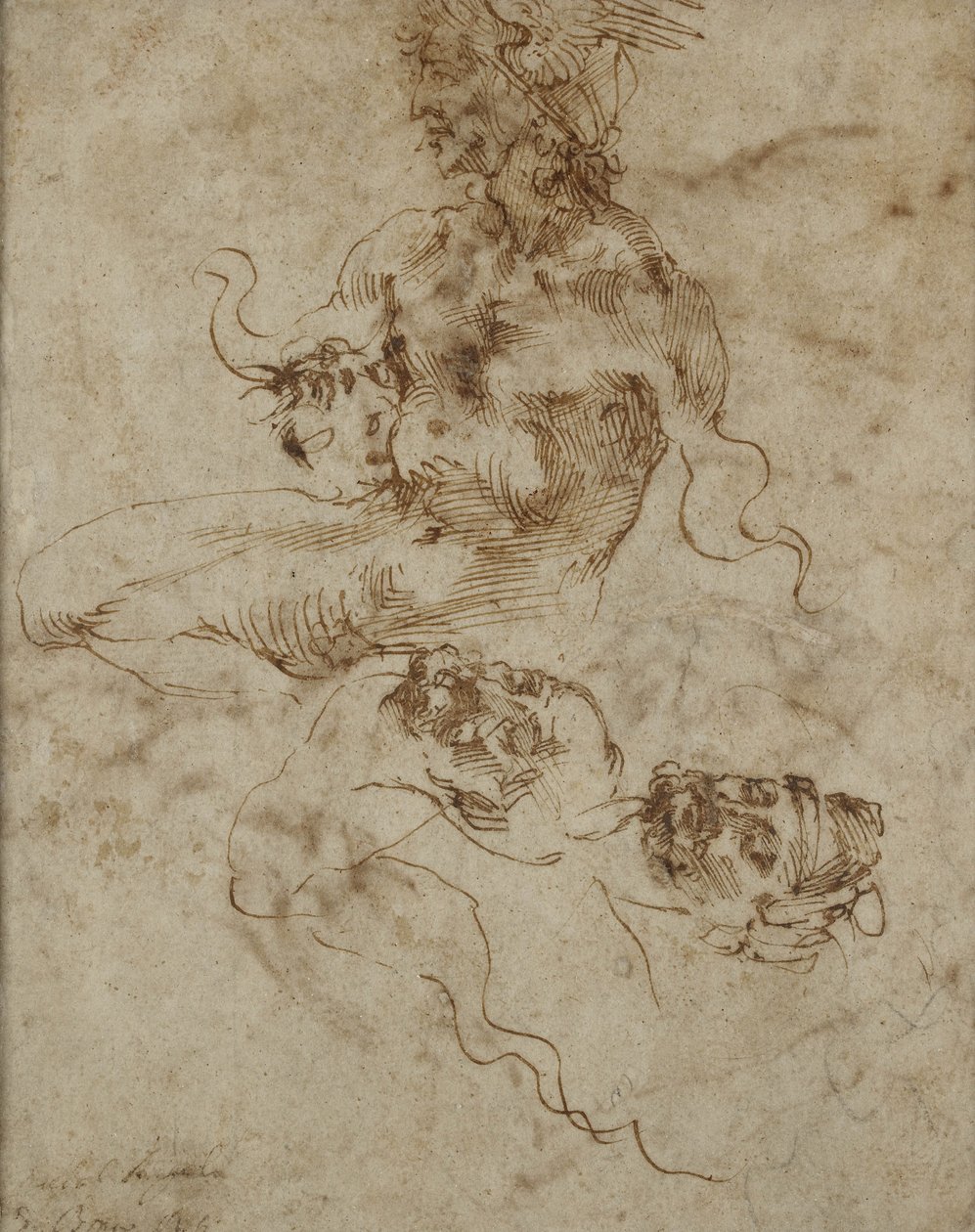 Study of a Seated Young Man, with Head Studies, c.1502 by Michelangelo Buonarroti