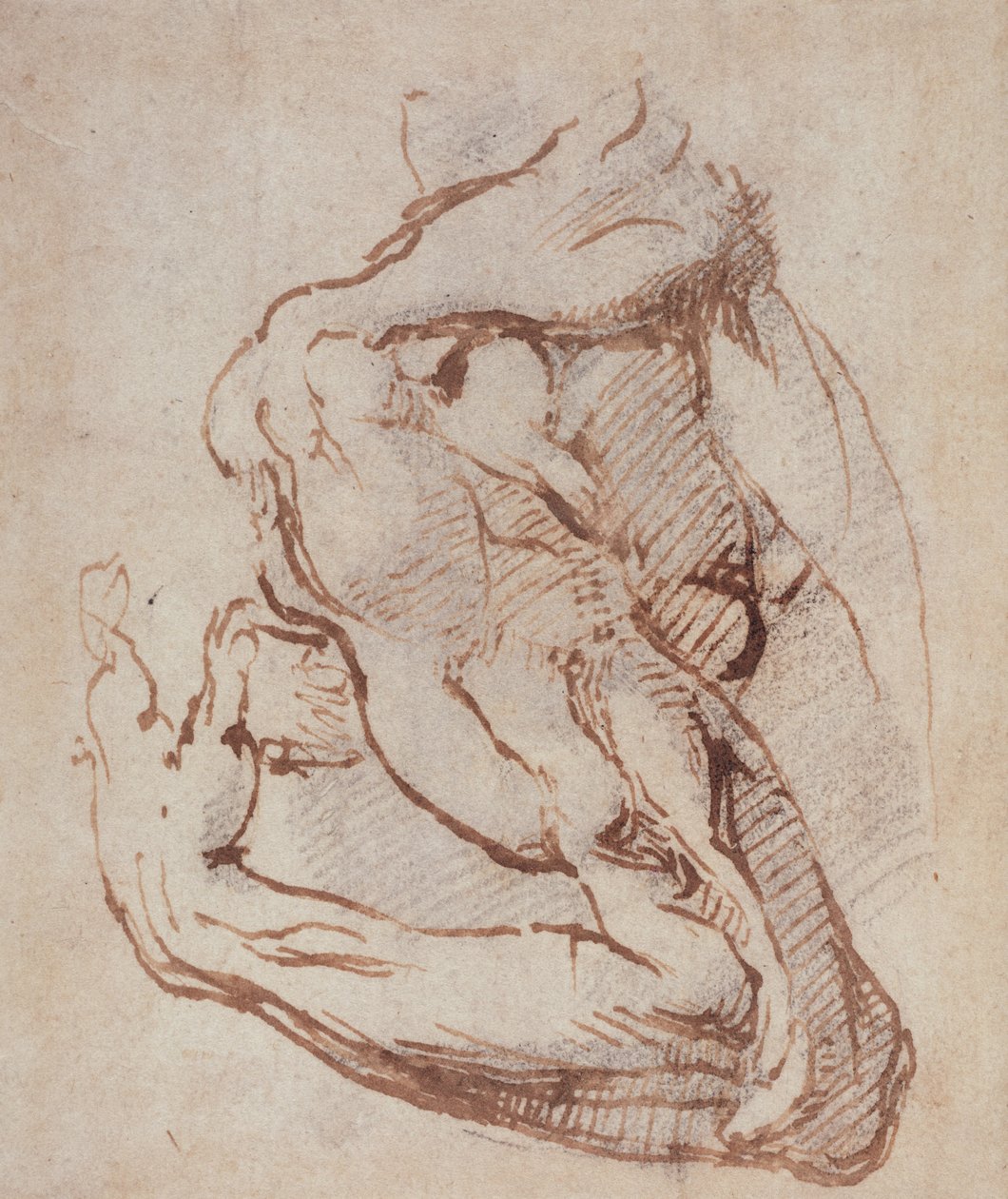 Study of an Arm by Michelangelo Buonarroti