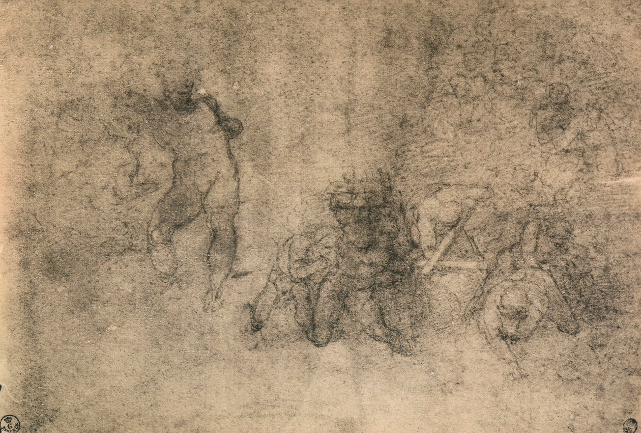 Various Studies of a Male Nude by Michelangelo Buonarroti