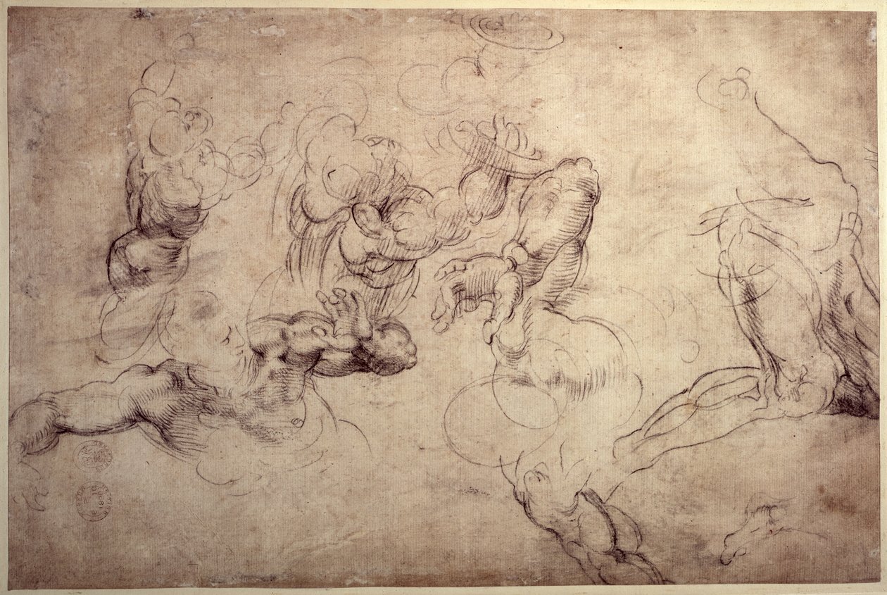 Male Figure Studies by Michelangelo Buonarroti