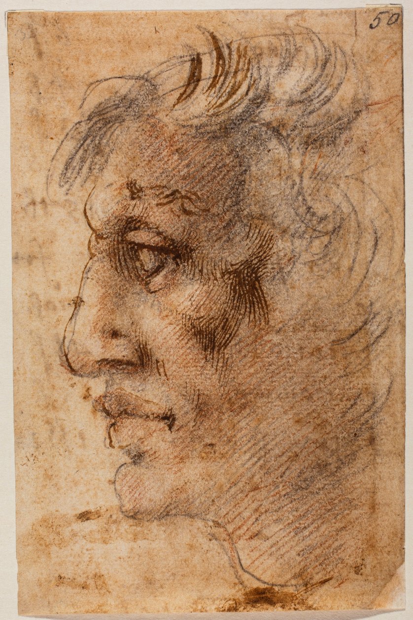 Male Head in Profile by Michelangelo (after) Buonarroti