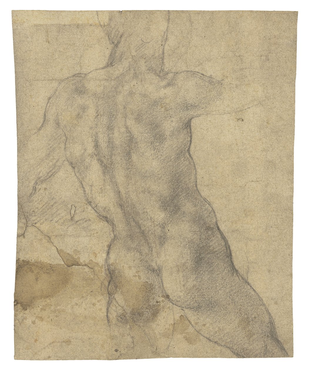 A Male Nude Seen from Behind by Michelangelo Buonarroti
