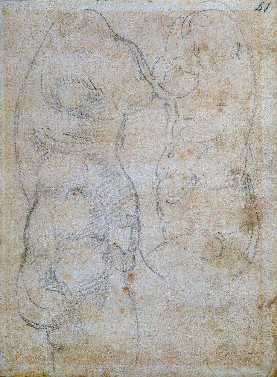 Two Studies of an Antique Female Torso by Michelangelo Buonarroti