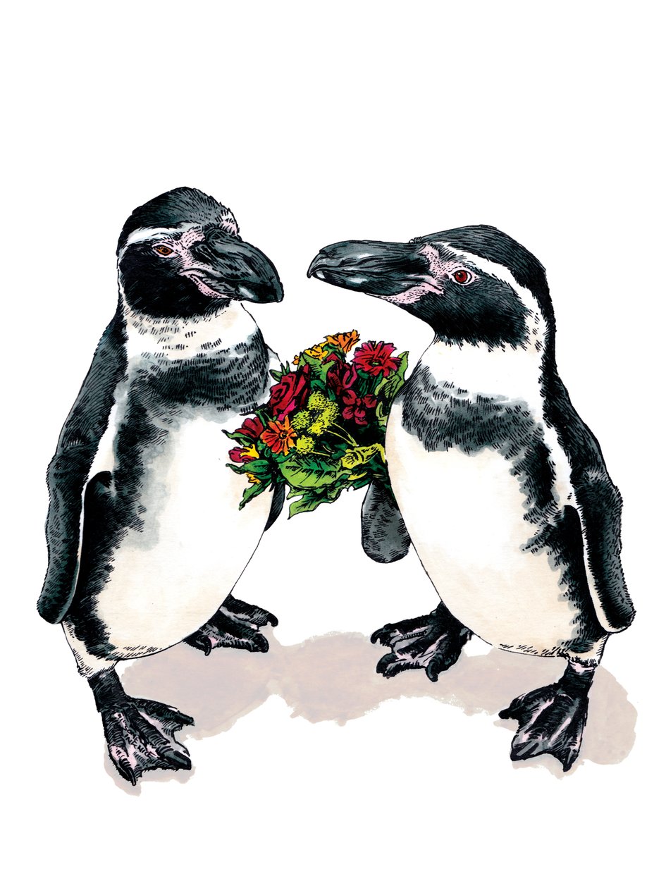 Anniversary Penguins on White by Mike Davis