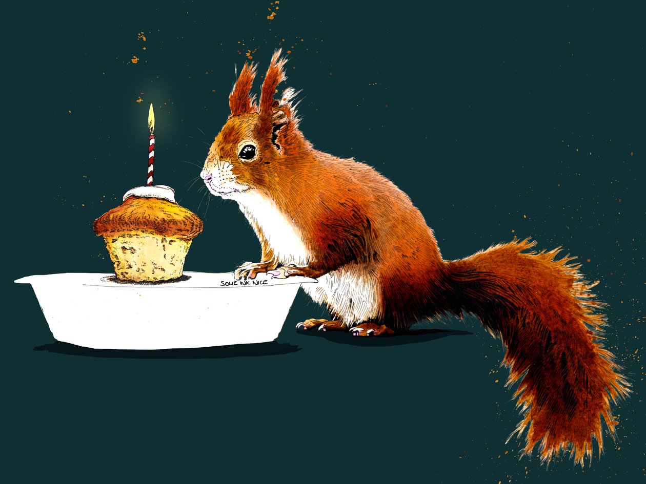 Birthday Squirrel on Deep Cyan, 2020 by Mike Davis