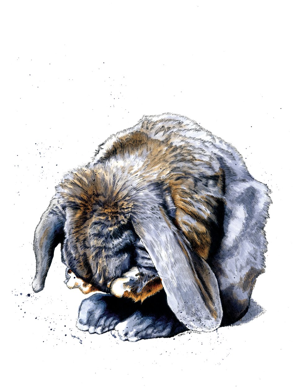 Rabbit Paws by Mike Davis
