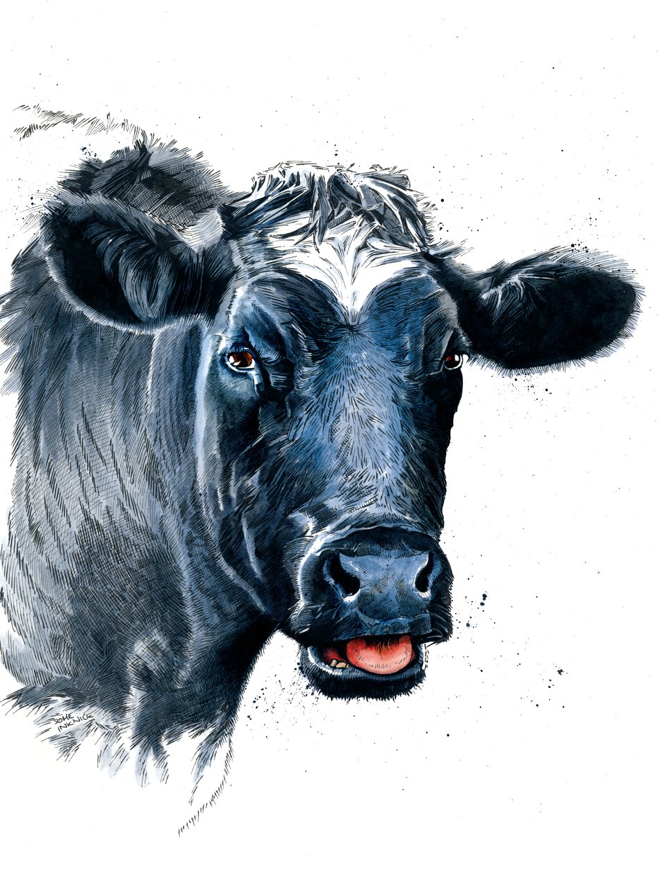 The Cow on White by Mike Davis