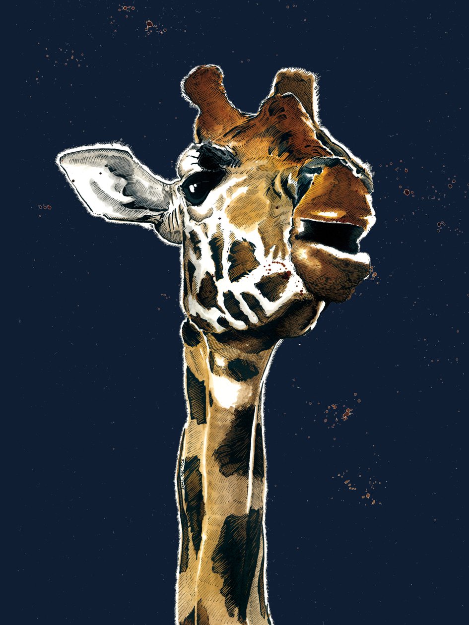 The Giraffe by Mike Davis