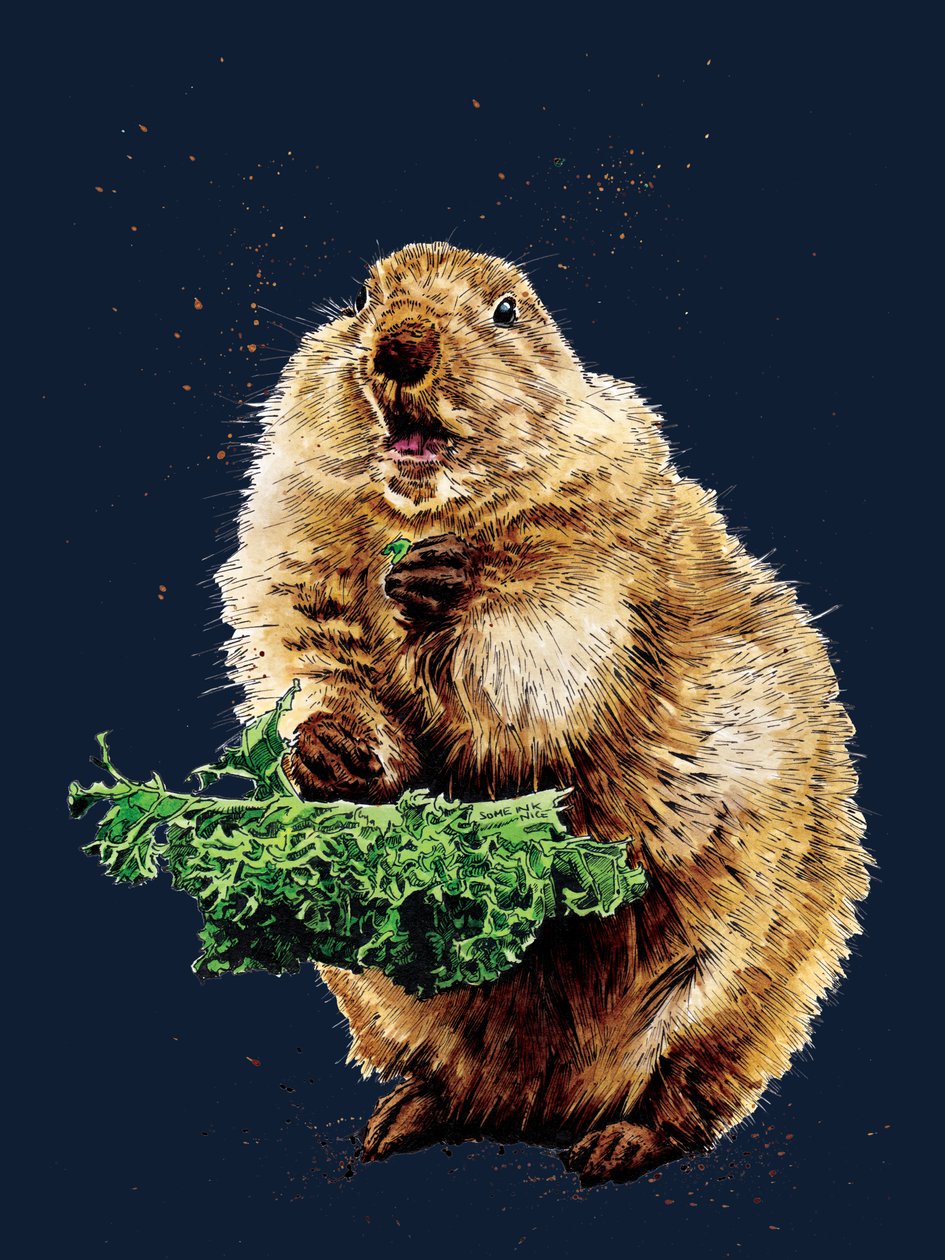 The Prairie Dog on Midnight Blue, 2020 by Mike Davis