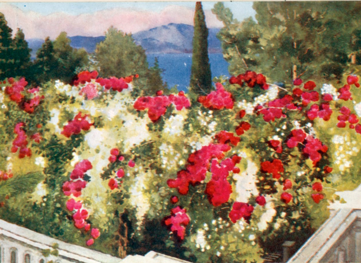 The Rose Pergola, the Achilleion, Corfu by Mima Nixon