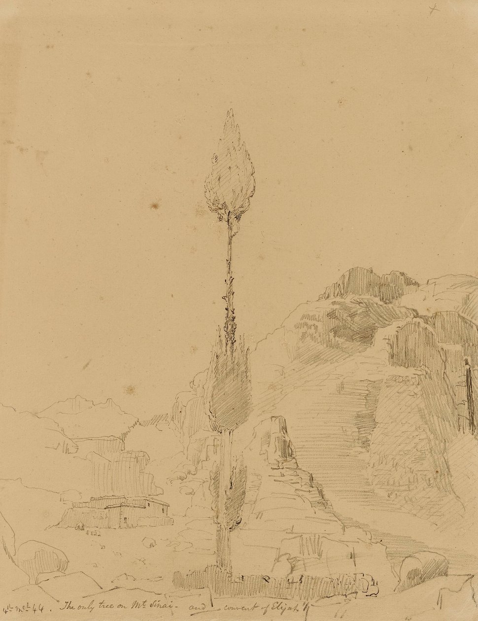 Oak Tree on Mount Sinai by Miner Kilbourne Kellogg