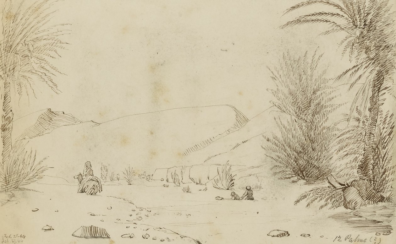 Palms by Miner Kilbourne Kellogg